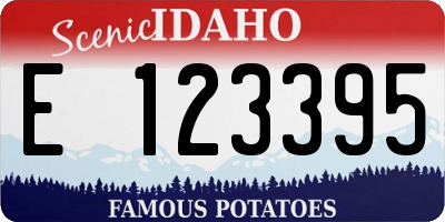 ID license plate E123395