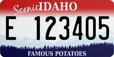 ID license plate E123405