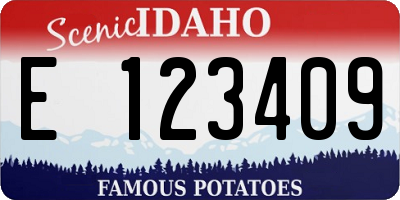 ID license plate E123409