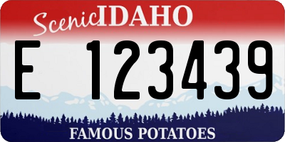 ID license plate E123439