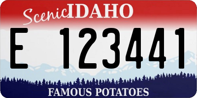 ID license plate E123441