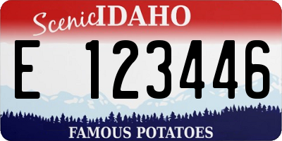 ID license plate E123446