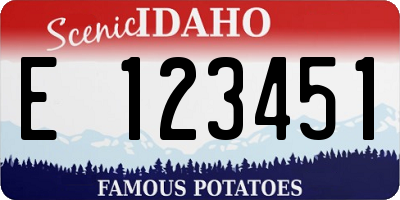 ID license plate E123451