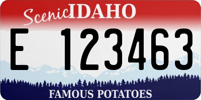 ID license plate E123463