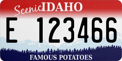 ID license plate E123466