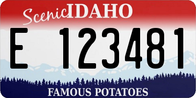 ID license plate E123481