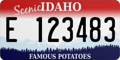 ID license plate E123483