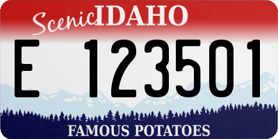 ID license plate E123501