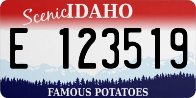 ID license plate E123519