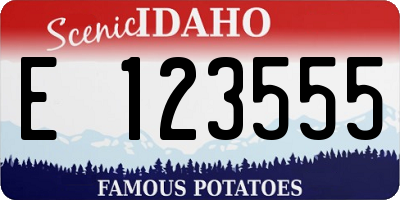 ID license plate E123555