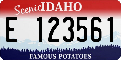 ID license plate E123561