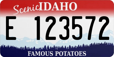 ID license plate E123572