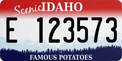 ID license plate E123573