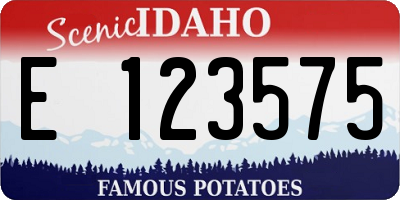 ID license plate E123575