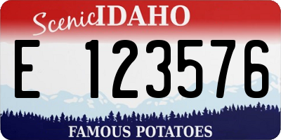 ID license plate E123576
