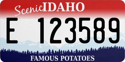 ID license plate E123589