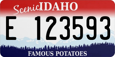 ID license plate E123593