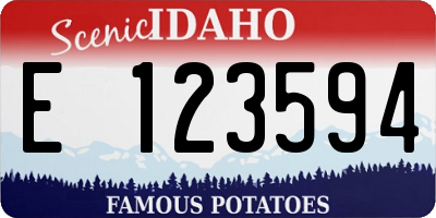 ID license plate E123594