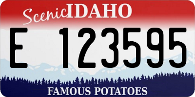 ID license plate E123595