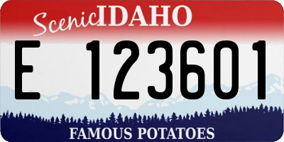 ID license plate E123601