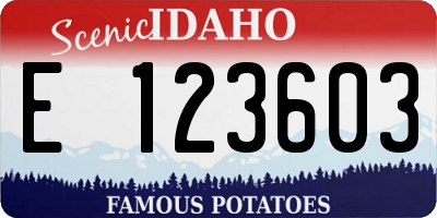 ID license plate E123603