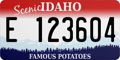 ID license plate E123604