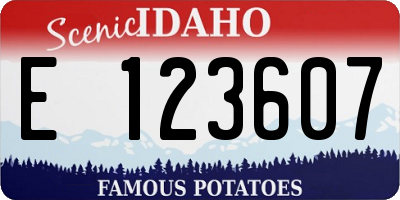 ID license plate E123607