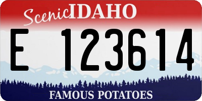 ID license plate E123614