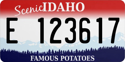ID license plate E123617