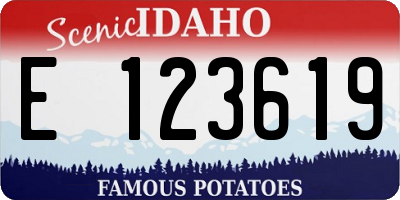 ID license plate E123619