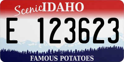 ID license plate E123623