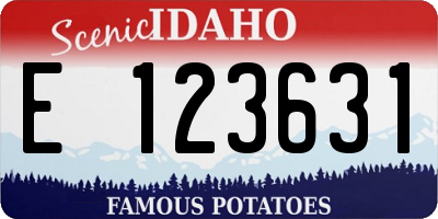 ID license plate E123631