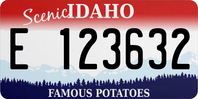 ID license plate E123632