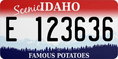 ID license plate E123636
