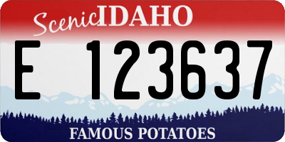 ID license plate E123637