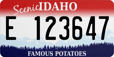 ID license plate E123647