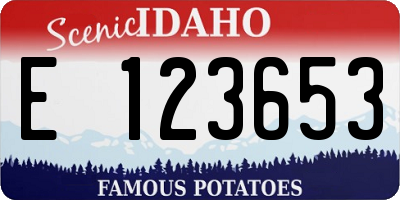 ID license plate E123653