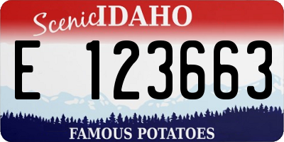 ID license plate E123663