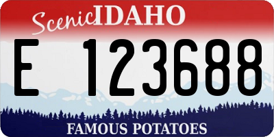 ID license plate E123688