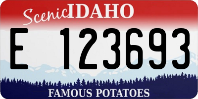 ID license plate E123693