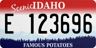 ID license plate E123696