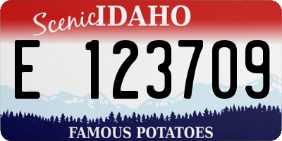 ID license plate E123709