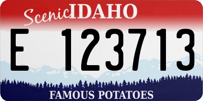 ID license plate E123713