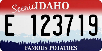 ID license plate E123719