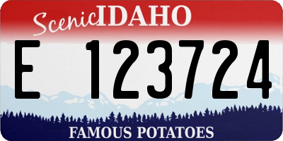 ID license plate E123724