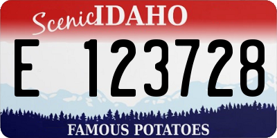 ID license plate E123728