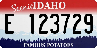 ID license plate E123729