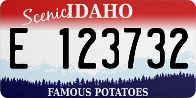 ID license plate E123732