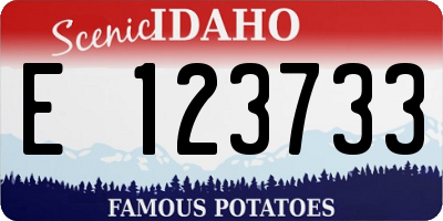 ID license plate E123733