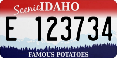 ID license plate E123734